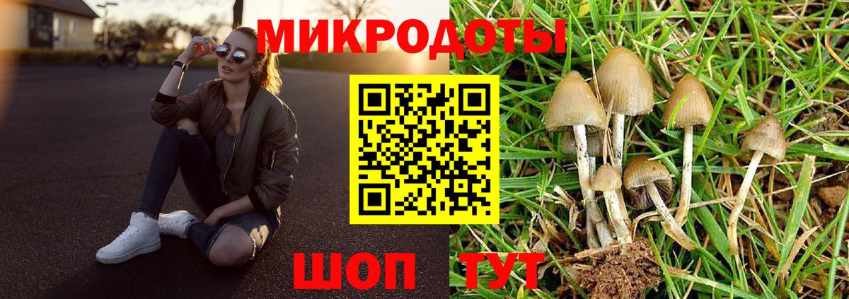 Дедовск  цены   Вход с VPN  Галлюциногенные грибы Psilocybe 